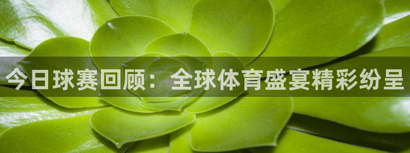 mk体育国际：今日球赛回顾：全球体育盛宴精彩纷呈