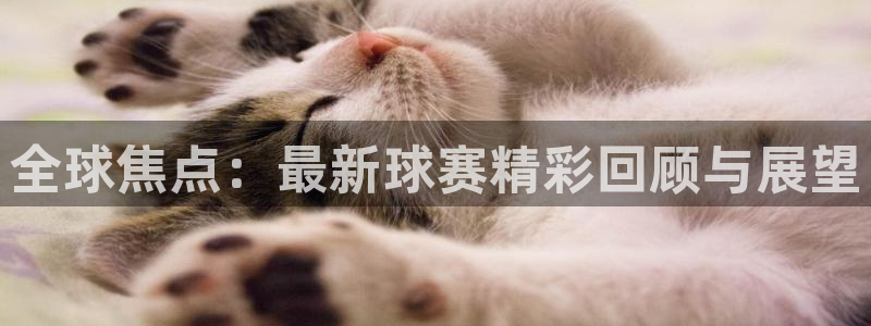MK体育登录地址：全球焦点：最新球赛精彩回顾与展望