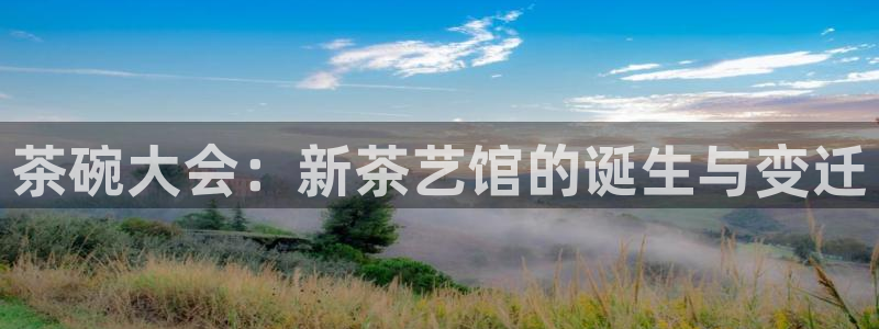 mk体育平台入口注册：茶碗大会：新茶艺馆的诞生与变迁