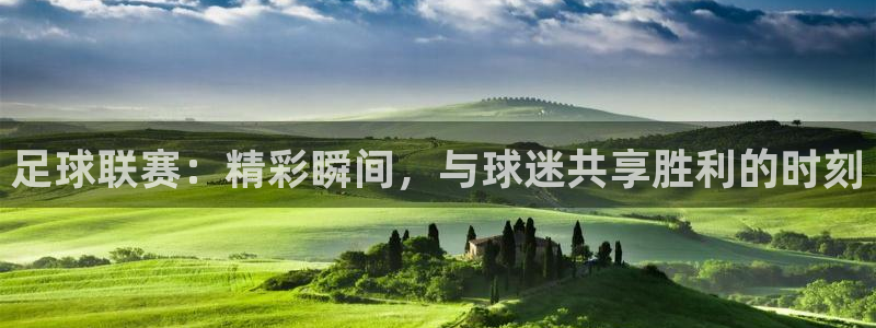 mk体育网登录入口：足球联赛：精彩瞬间，与球迷共享胜利的时刻
