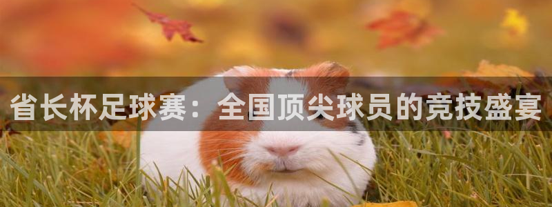 mk体育官网登录入口网址是什么：省长杯足球赛：全国顶尖球员的