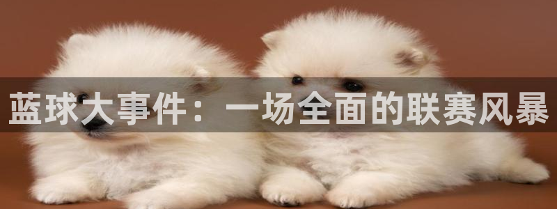 mk体育在线官网首页：蓝球大事件：一场全面的联赛风暴